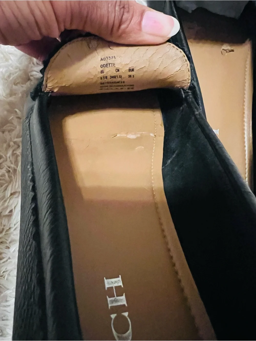 COACH Odette Black Pebbled Leather Loafers